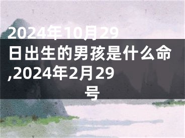 2024年10月29日出生的男孩是什么命,2024年2月29号