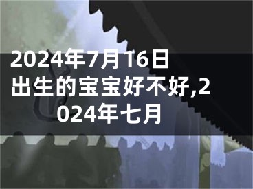 2024年7月16日出生的宝宝好不好,2024年七月