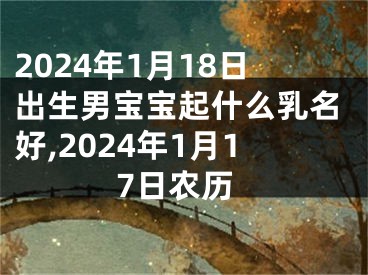 2024年1月18日出生男宝宝起什么乳名好,2024年1月17日农历