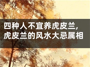四种人不宜养虎皮兰,虎皮兰的风水大忌属相
