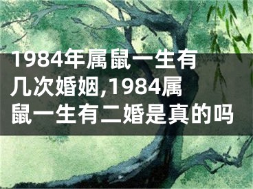 1984年属鼠一生有几次婚姻,1984属鼠一生有二婚是真的吗