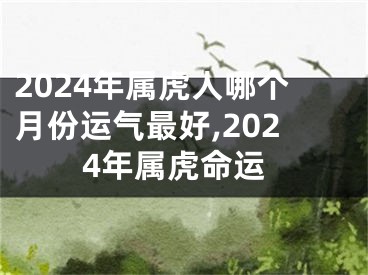 2024年属虎人哪个月份运气最好,2024年属虎命运