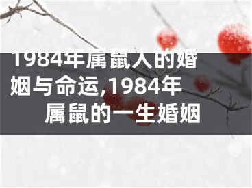 1984年属鼠人的婚姻与命运,1984年属鼠的一生婚姻
