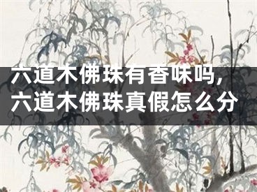 六道木佛珠有香味吗,六道木佛珠真假怎么分
