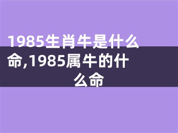 1985生肖牛是什么命,1985属牛的什么命