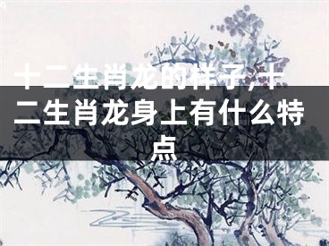 十二生肖龙的样子,十二生肖龙身上有什么特点