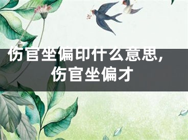 伤官坐偏印什么意思,伤官坐偏才