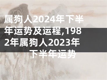属狗人2024年下半年运势及运程,1982年属狗人2023年下半年运势