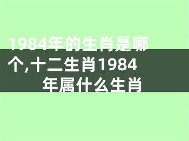 1984年的生肖是哪个,十二生肖1984年属什么生肖