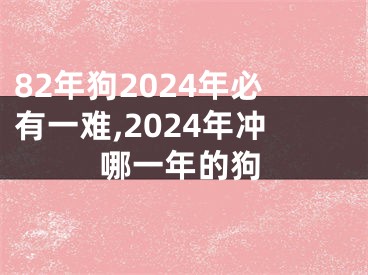 82年狗2024年必有一难,2024年冲哪一年的狗