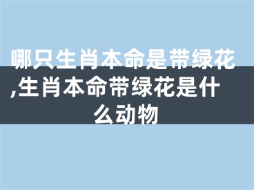 哪只生肖本命是带绿花,生肖本命带绿花是什么动物