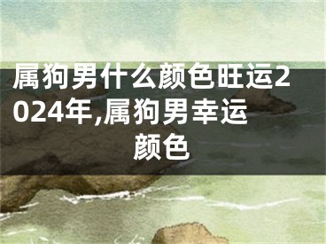 属狗男什么颜色旺运2024年,属狗男幸运颜色