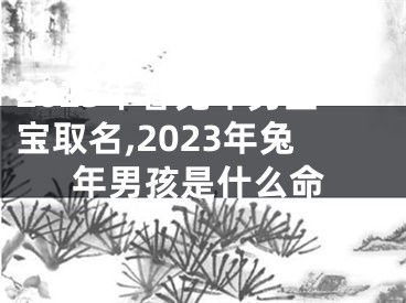 2023年春兔年男宝宝取名,2023年兔年男孩是什么命
