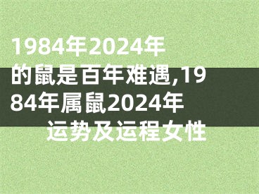 1984年2024年的鼠是百年难遇,1984年属鼠2024年运势及运程女性