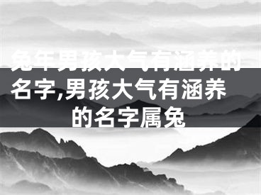 兔年男孩大气有涵养的名字,男孩大气有涵养的名字属兔