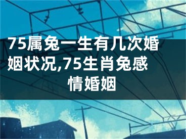 75属兔一生有几次婚姻状况,75生肖兔感情婚姻