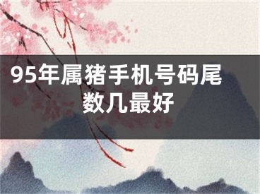 95年属猪手机号码尾数几最好
