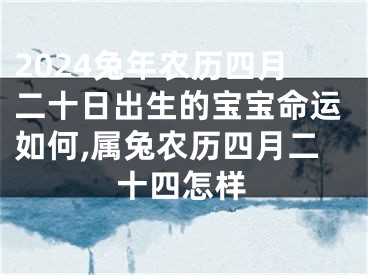2024兔年农历四月二十日出生的宝宝命运如何,属兔农历四月二十四怎样