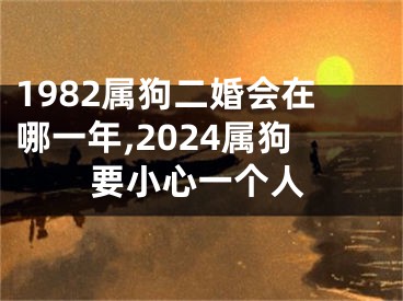 1982属狗二婚会在哪一年,2024属狗要小心一个人