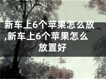 新车上6个苹果怎么放,新车上6个苹果怎么放置好