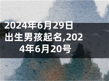 2024年6月29日出生男孩起名,2024年6月20号