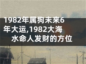 1982年属狗未来6年大运,1982大海水命人发财的方位