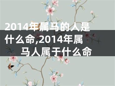 2014年属马的人是什么命,2014年属马人属于什么命