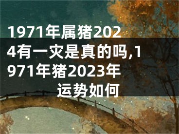 1971年属猪2024有一灾是真的吗,1971年猪2023年运势如何