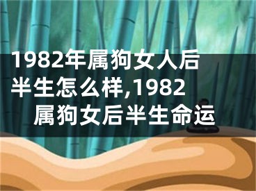 1982年属狗女人后半生怎么样,1982属狗女后半生命运
