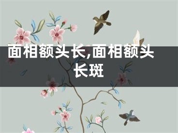 面相额头长,面相额头长斑