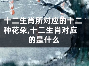 十二生肖所对应的十二种花朵,十二生肖对应的是什么