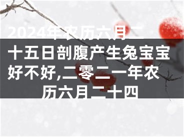 2024年农历六月二十五日剖腹产生兔宝宝好不好,二零二一年农历六月二十四