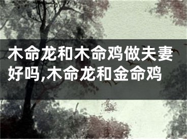 木命龙和木命鸡做夫妻好吗,木命龙和金命鸡