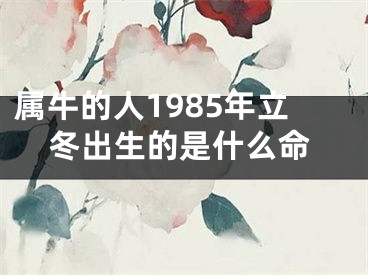 属牛的人1985年立冬出生的是什么命