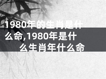 1980年的生肖是什么命,1980年是什么生肖年什么命