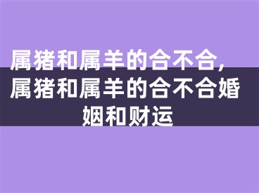 属猪和属羊的合不合,属猪和属羊的合不合婚姻和财运