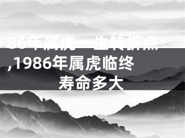 86年属虎一生转折点,1986年属虎临终寿命多大
