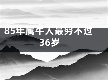 85年属牛人最穷不过36岁
