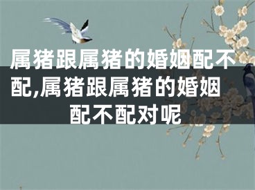 属猪跟属猪的婚姻配不配,属猪跟属猪的婚姻配不配对呢