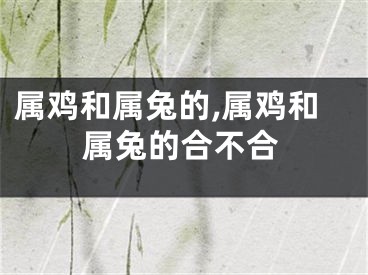 属鸡和属兔的,属鸡和属兔的合不合