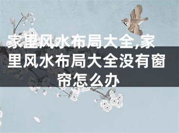 家里风水布局大全,家里风水布局大全没有窗帘怎么办