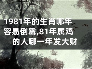 1981年的生肖哪年容易倒霉,81年属鸡的人哪一年发大财