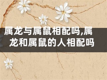 属龙与属鼠相配吗,属龙和属鼠的人相配吗