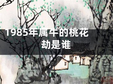 1985年属牛的桃花劫是谁