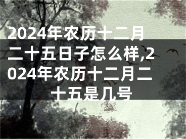 2024年农历十二月二十五日子怎么样,2024年农历十二月二十五是几号