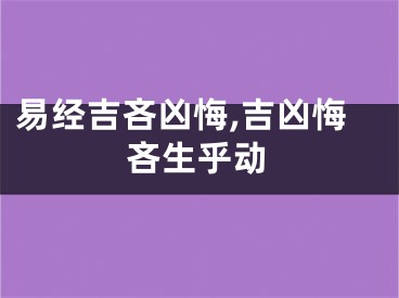 易经吉吝凶悔,吉凶悔吝生乎动