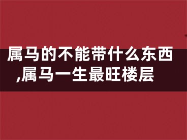 属马的不能带什么东西,属马一生最旺楼层