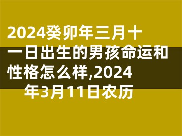 2024癸卯年三月十一日出生的男孩命运和性格怎么样,2024年3月11日农历