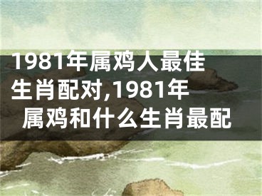 1981年属鸡人最佳生肖配对,1981年属鸡和什么生肖最配