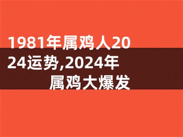 1981年属鸡人2024运势,2024年属鸡大爆发